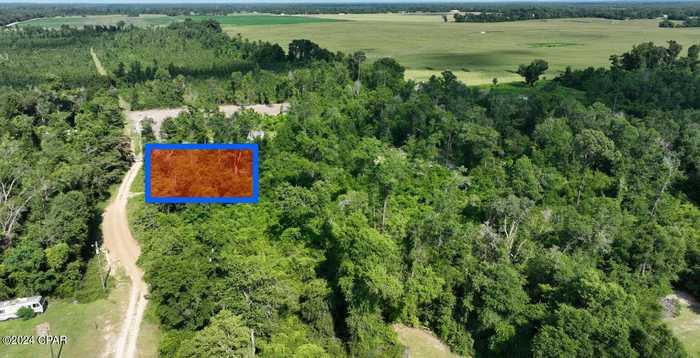 photo 1: Lot #11 Long Branch Lane, Greenwood FL 32443