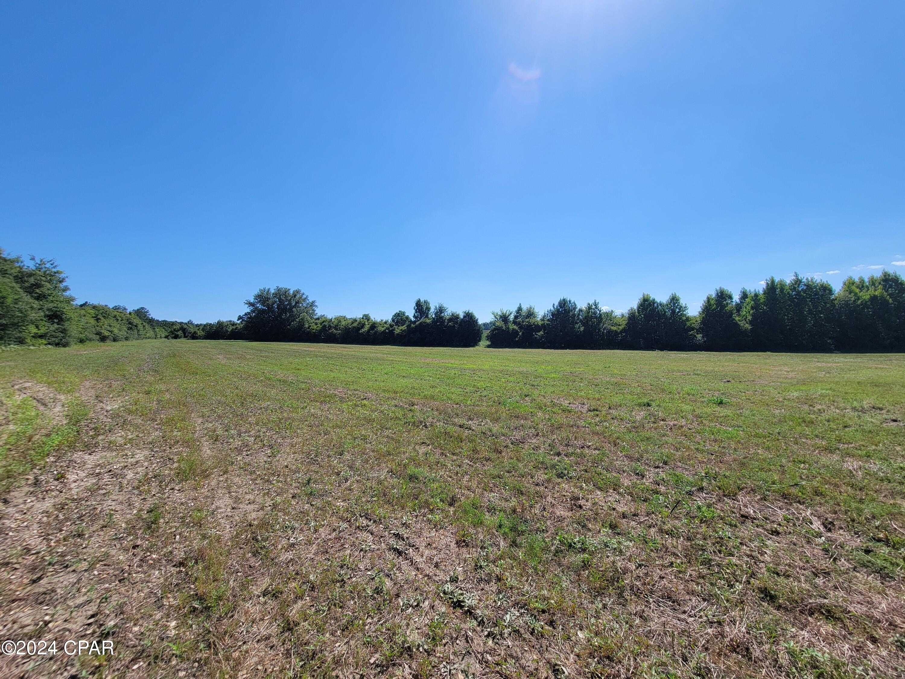 photo 3: Lot 1 Bradley Road, Westville FL 32464