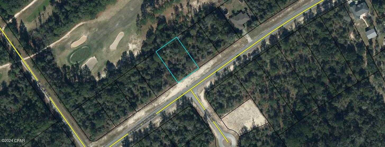 photo 2: Country Club Boulevard, Chipley FL 32428