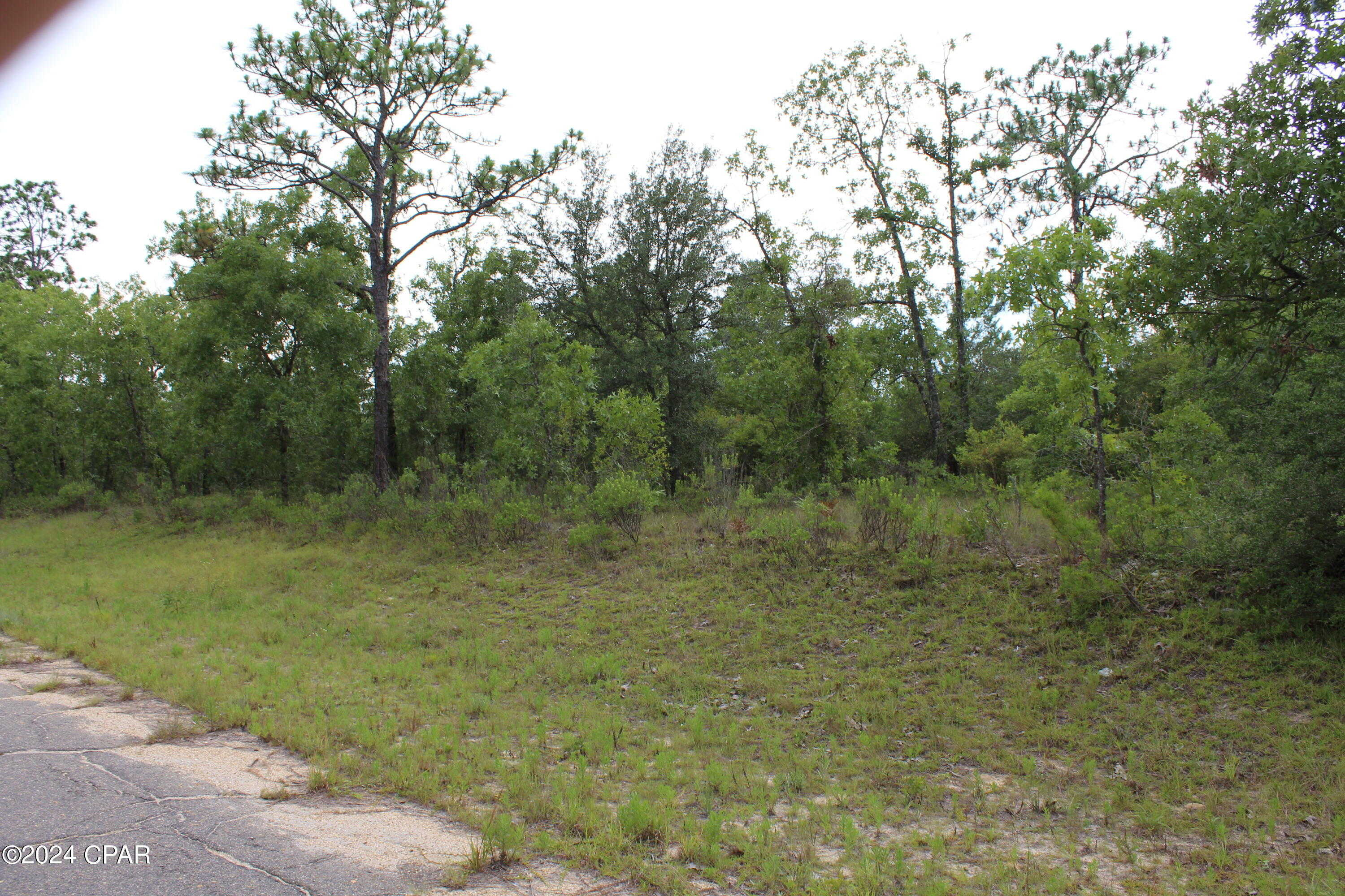 photo 1: Lot  1 Esmont, Chipley FL 32428