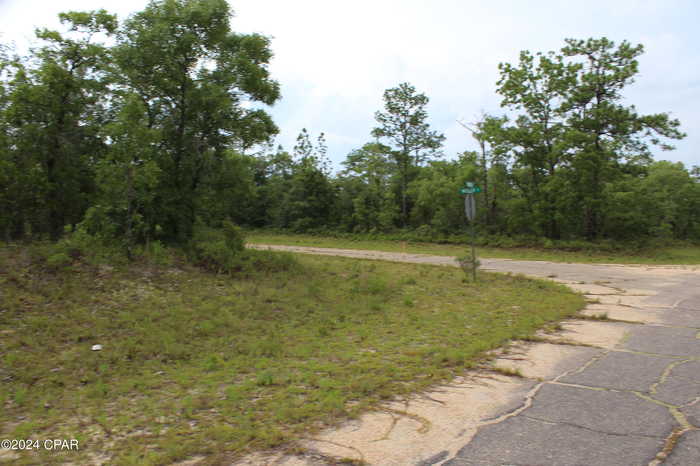 photo 11: Lot  1 Esmont, Chipley FL 32428