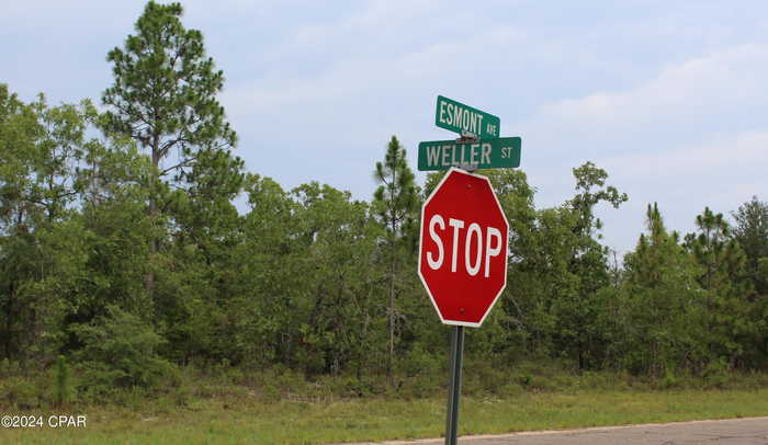 photo 2: Lot  1 Esmont, Chipley FL 32428