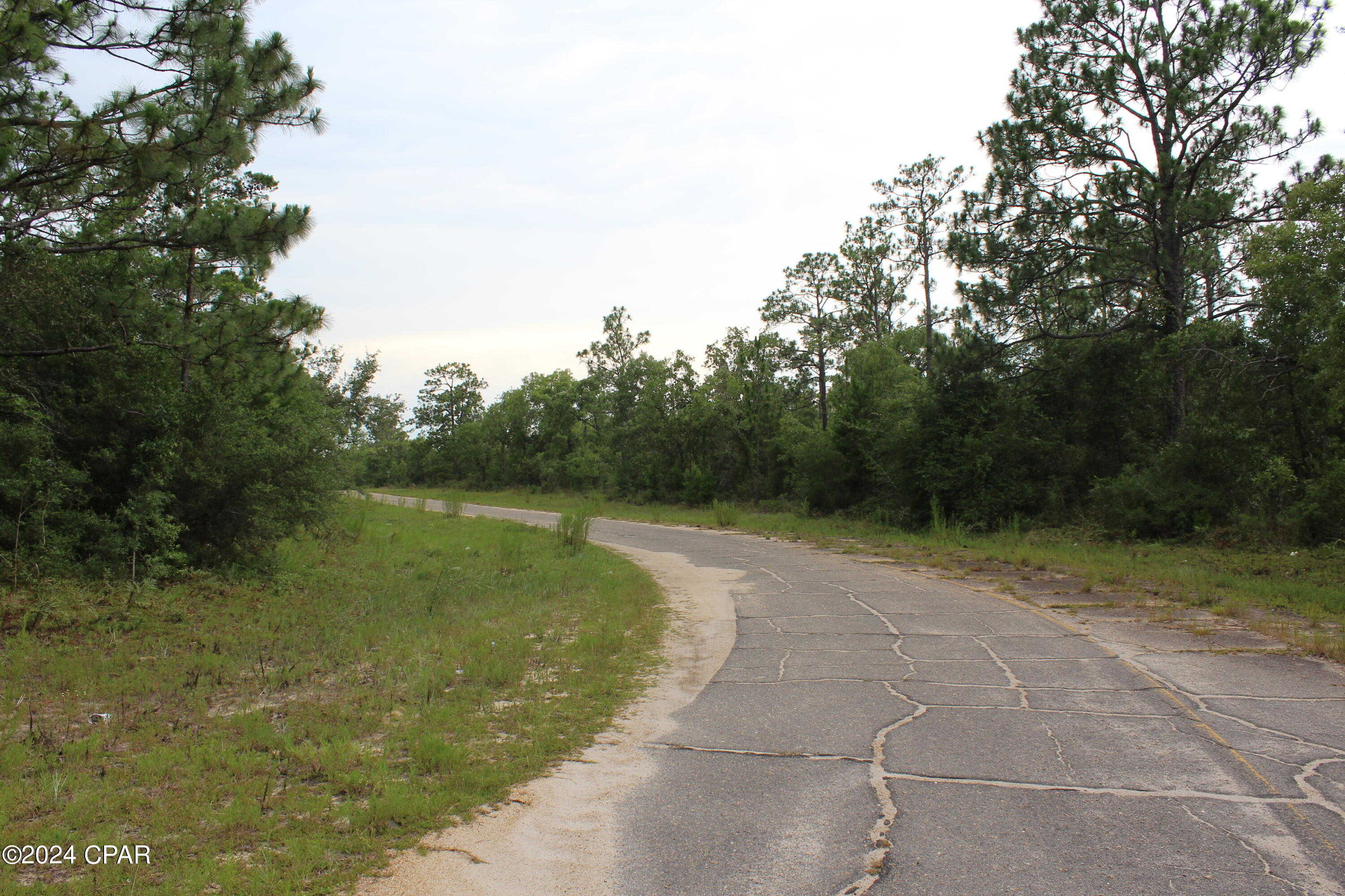 photo 3: Lot  1 Esmont, Chipley FL 32428