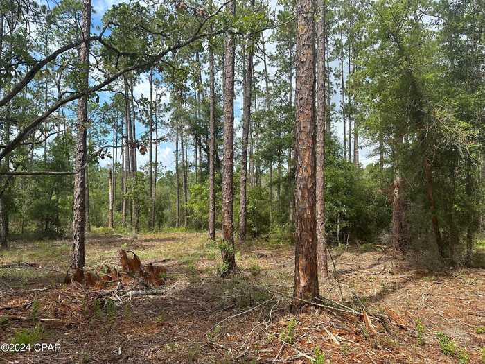 photo 1: Tempest Court, Chipley FL 32428