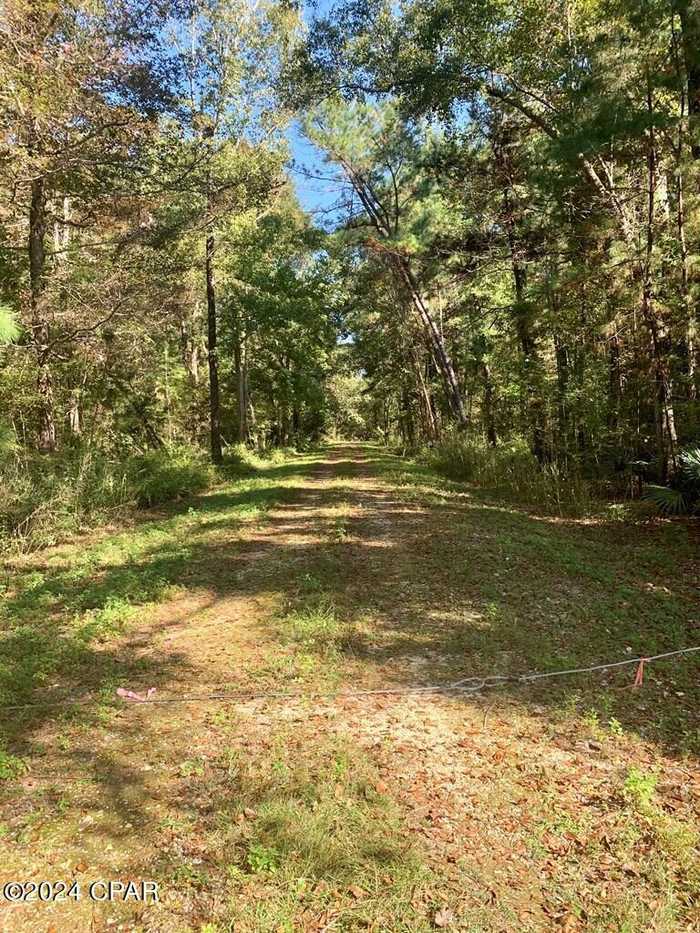 photo 2: lot 9 Riverside Circle, Wewahitchka FL 32465