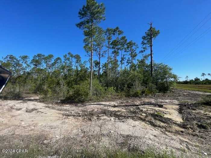 photo 2: TBD CR 386 N, Wewahitchka FL 32465