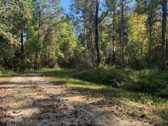 photo 2: lot 8 Riverside  Circle, Wewahitchka FL 32465