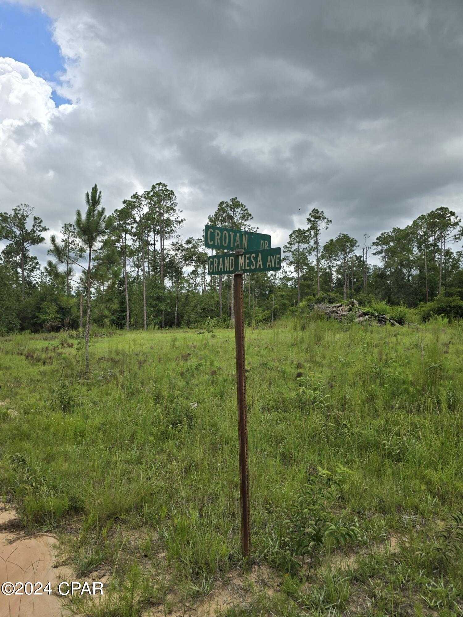 photo 1: Crotan Drive, Alford FL 32420