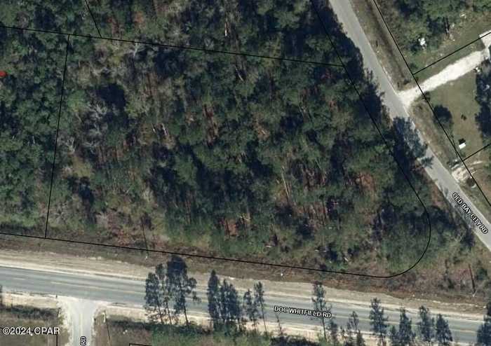 photo 1: Doc Whitfield Road, Wewahitchka FL 32465