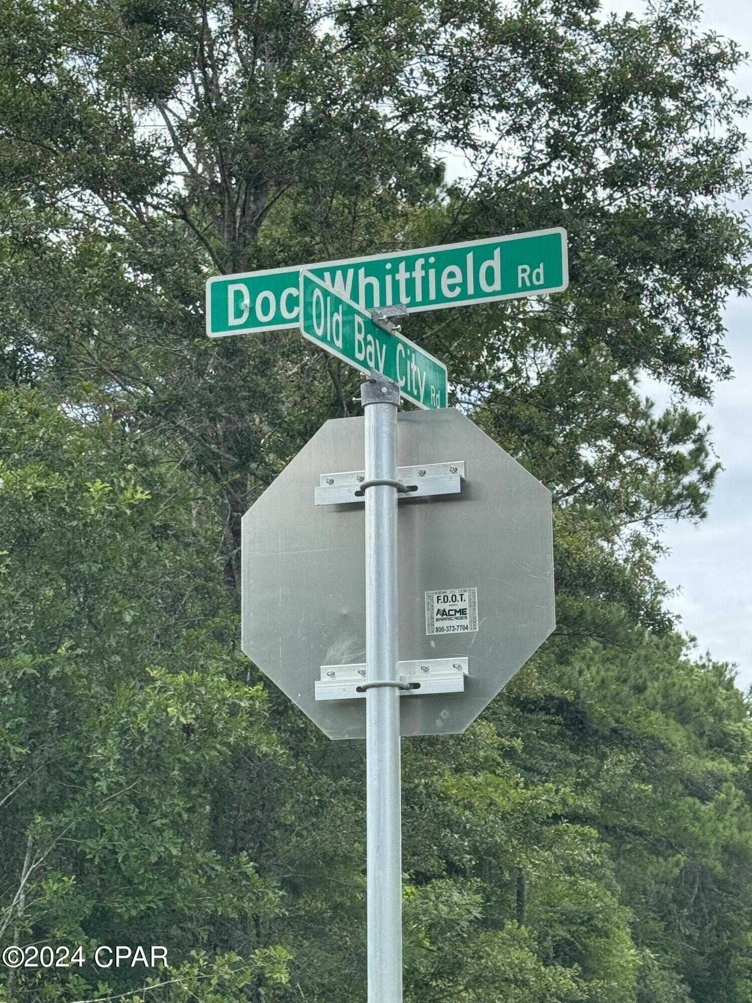 photo 3: Doc Whitfield Road, Wewahitchka FL 32465