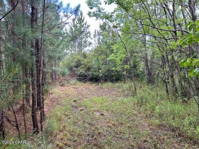 photo 2: 11030 Smith Road, Fountain FL 32438