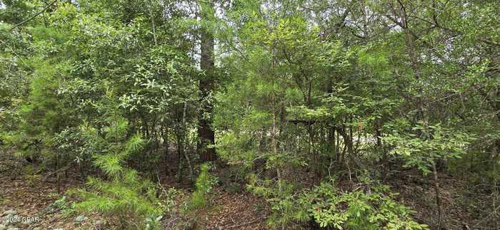 photo 6: Lot 8 Jamaica Cir., Chipley FL 32428