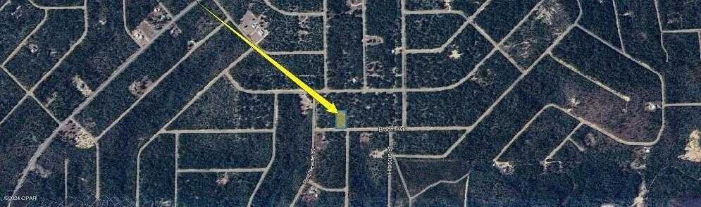 photo 3: O Broom Avenue, Marianna FL 32448