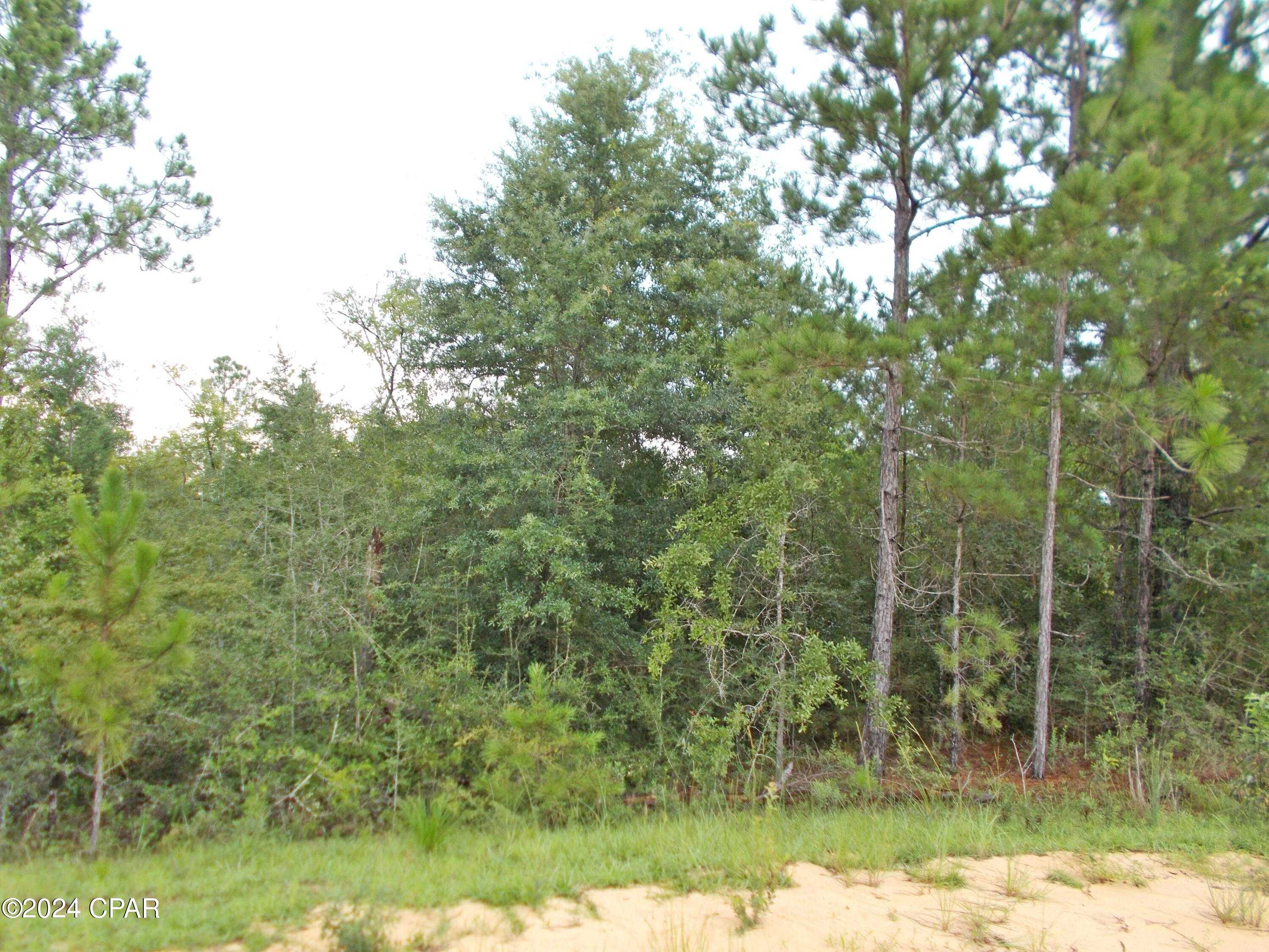 photo 1: Lot 20 Starling Avenue, Marianna FL 32448