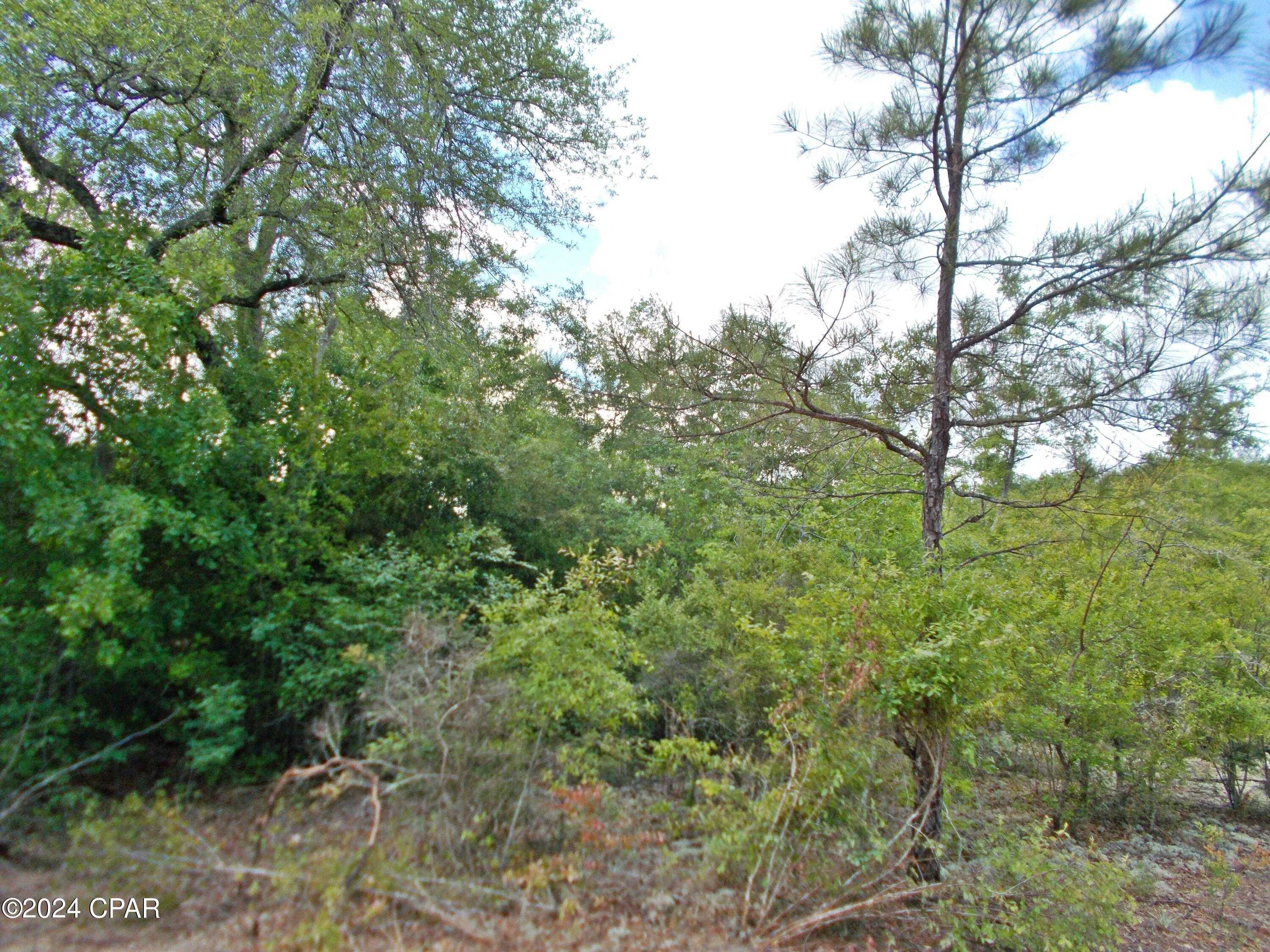 photo 1: Lot 4 Fairborn Avenue, Alford FL 32420