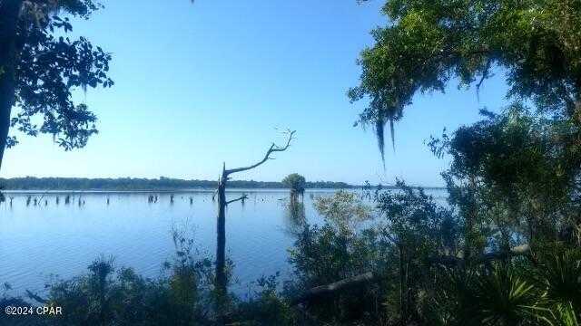 photo 1: 9806 Summer Creek Drive, Panama City FL 32409