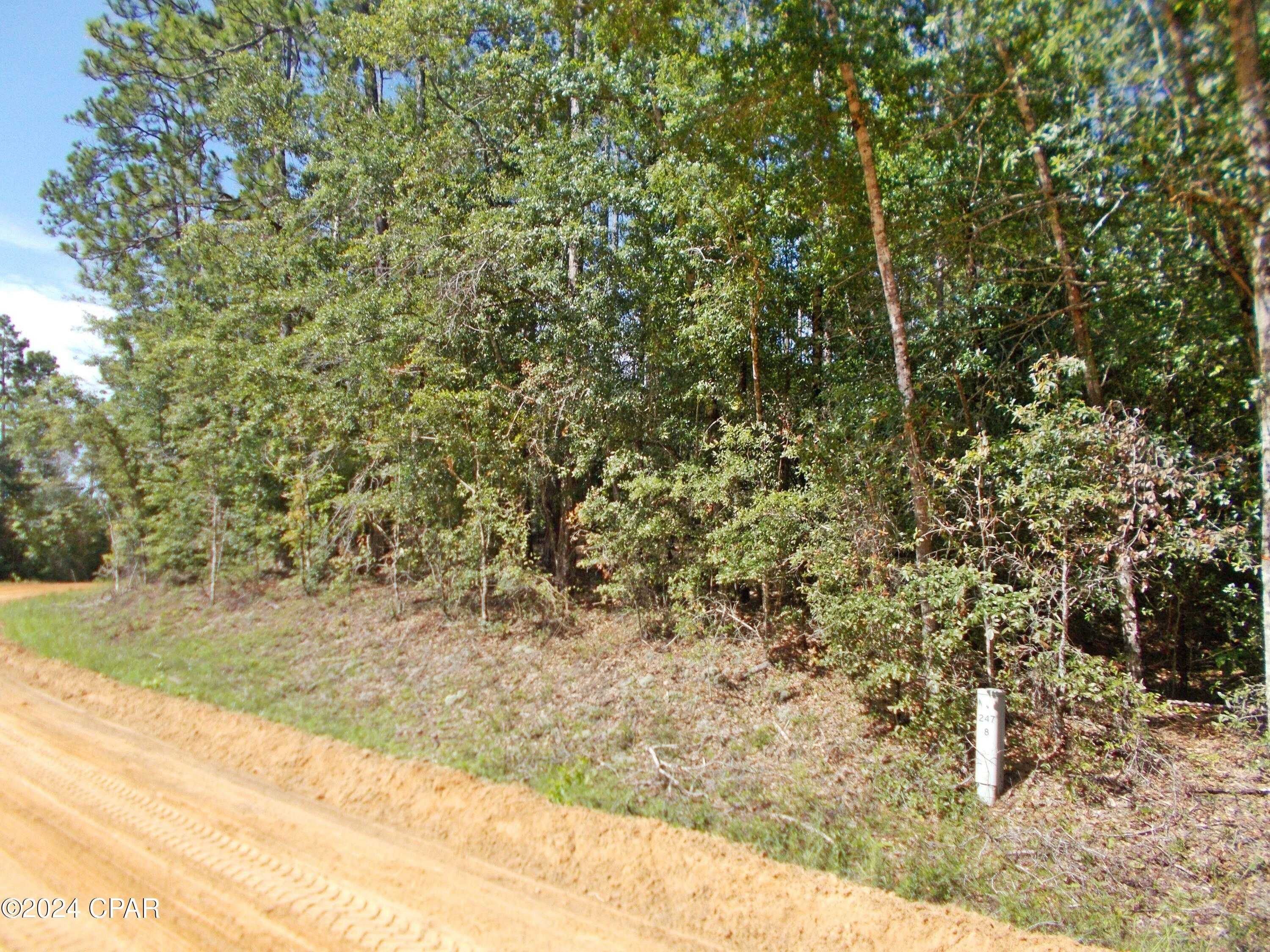 photo 2: Lot 5 Hood Avenue, Alford FL 32420