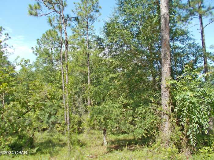 photo 1: Lot 10 Castle Circle, Alford FL 32420