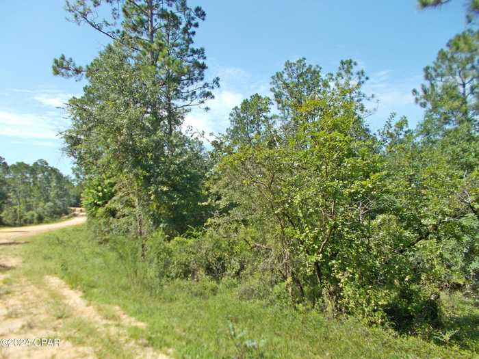 photo 2: Lot 10 Castle Circle, Alford FL 32420