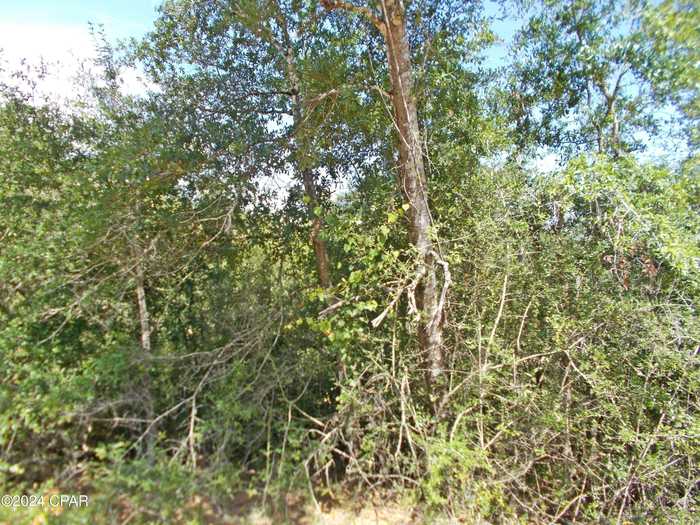 photo 1: Lot 27 Southern Boulevard, Alford FL 32420