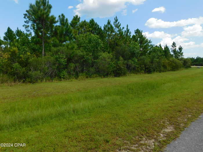 photo 2: Ibis Drive, Wewahitchka FL 32465