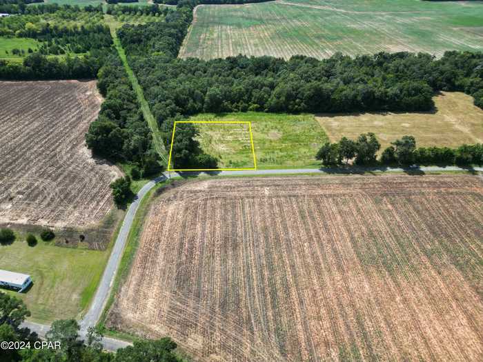 photo 8: Lot 5 Gray Lane, Campbellton FL 32426