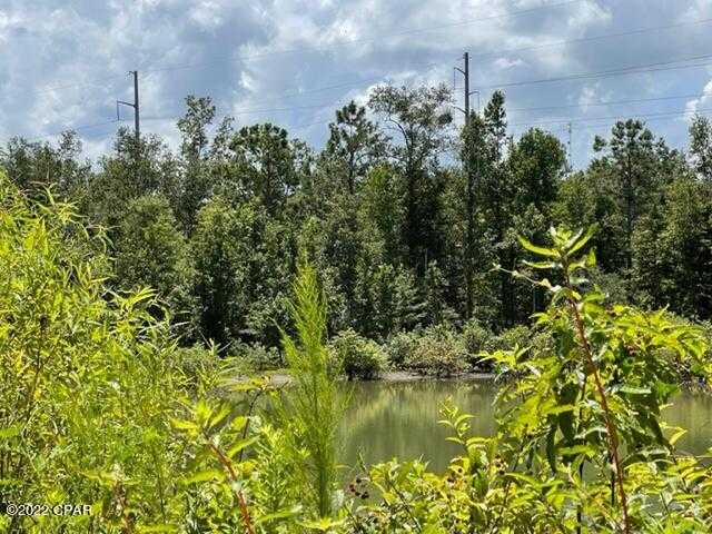 photo 3: Skyview Road, Marianna FL 32446