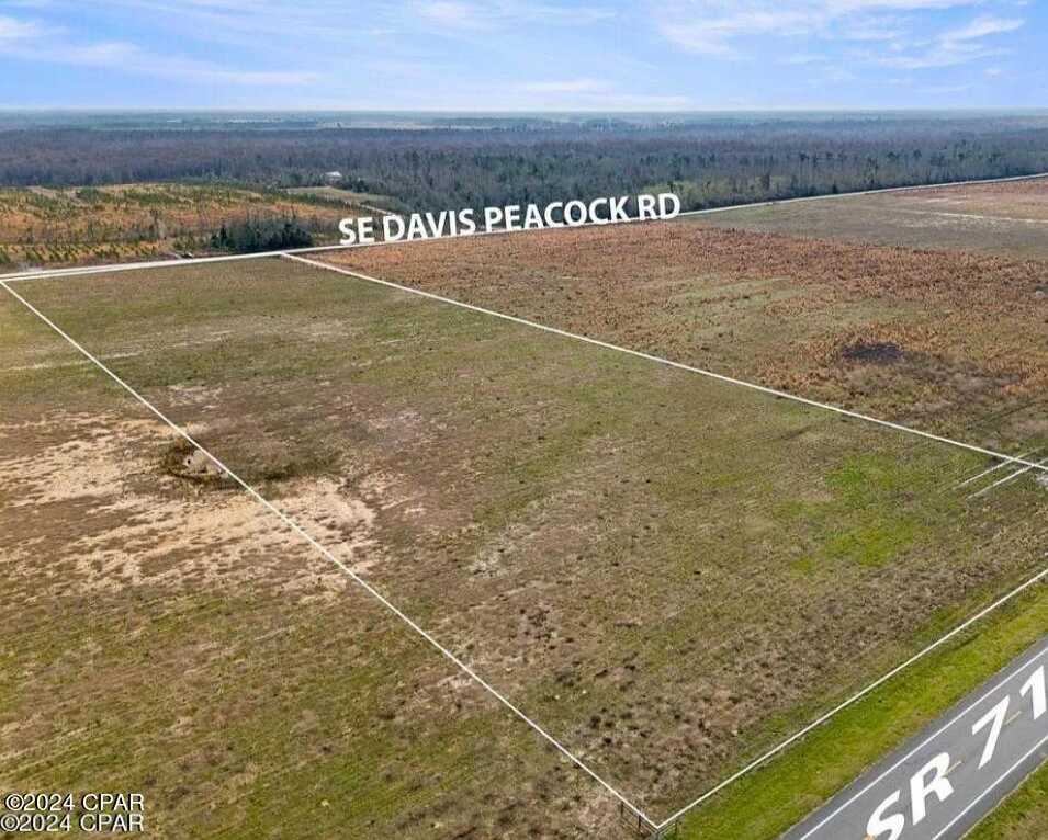 photo 2: 1716 SE Davis Peacock Road, Kinard FL 32449