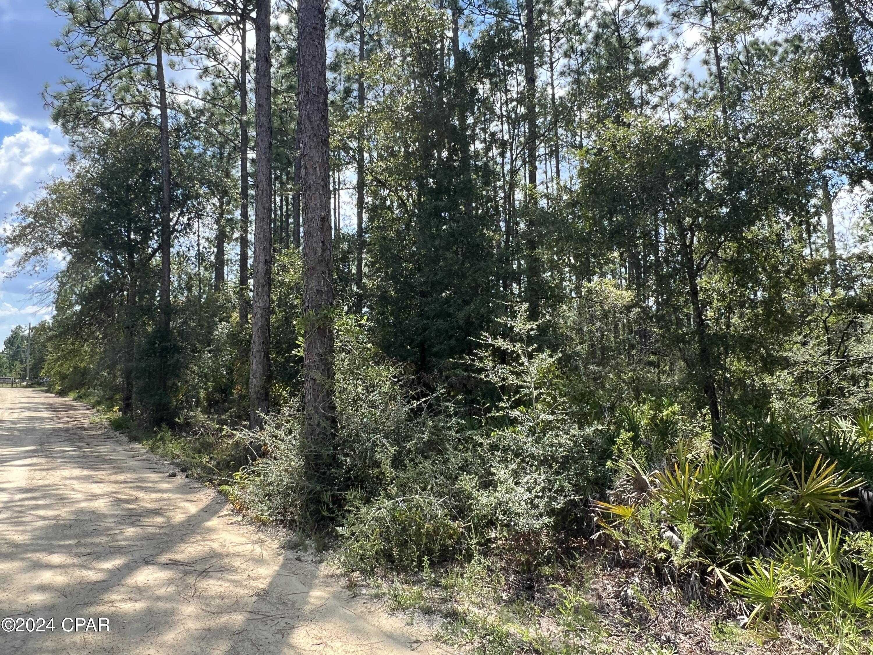 photo 3: NW Longleaf Road, Fountain FL 32438