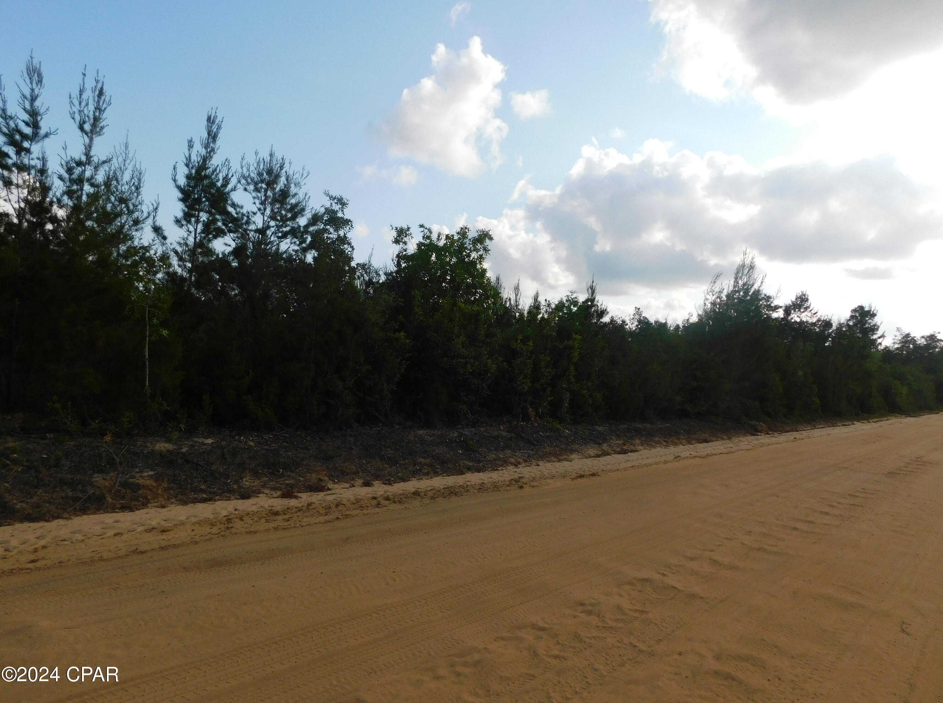 photo 3: S Silver Lake Road, Fountain FL 32438