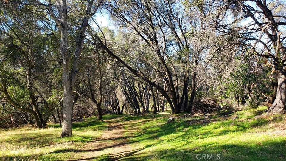 photo 3: unassigned Boyer Road, Mariposa CA 95338