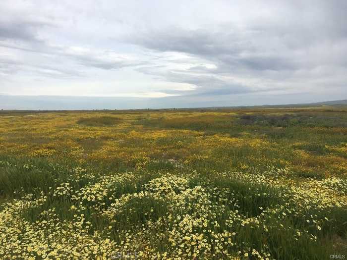 photo 1: Buffalo - C, California Valley CA 93453