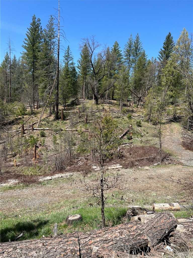 photo 1: 6493 Greeley Hill Road, Coulterville CA 95311