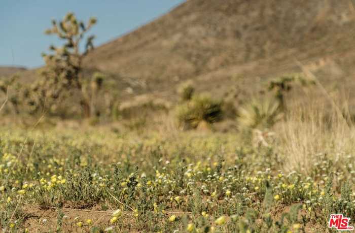 photo 18: OLD WOMAN SPRINGS Road, Yucca Valley CA 92284