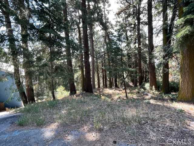 photo 1: Lakeland View, Cedarpines Park CA 92322