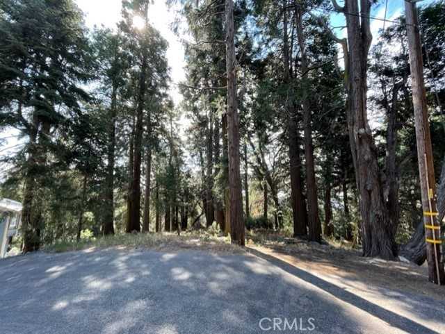 photo 2: Lakeland View, Cedarpines Park CA 92322