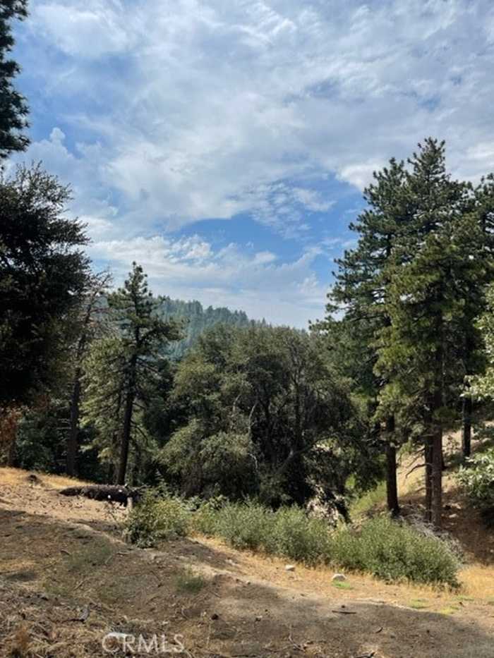 photo 1: Cochran Rd, Cedarpines Park CA 92391