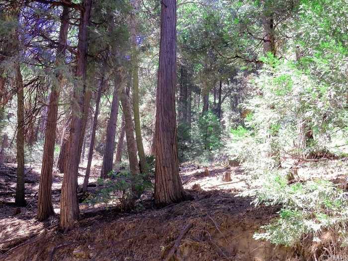 photo 1: 8 Mojave River Road, Cedarpines Park CA 92322