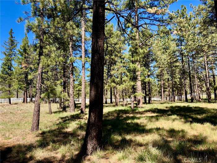 photo 2: Butterfly Peak Rd, Mountain Center CA 92561