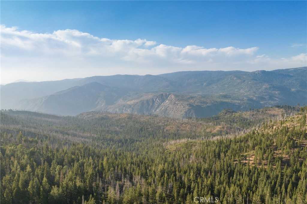 photo 3: 7401 Choke Cherry Lane, Yosemite CA 95389