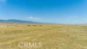 photo 3: Perkins Road, New Cuyama CA 93254