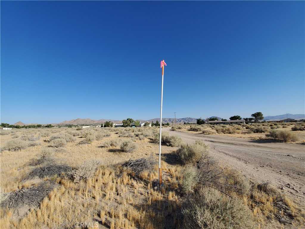 photo 3: 10600 Oracle Road, Lucerne Valley CA 92356