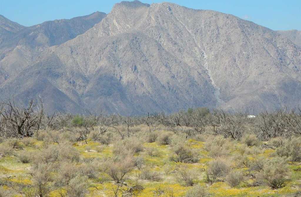 photo 1: Yaqui Pass Rd, Borrego Springs CA 92004