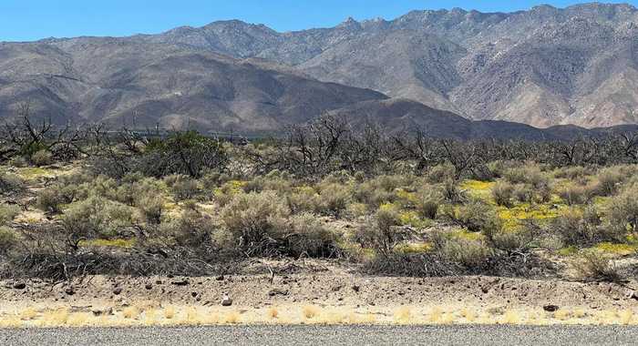 photo 17: Yaqui Pass Rd, Borrego Springs CA 92004