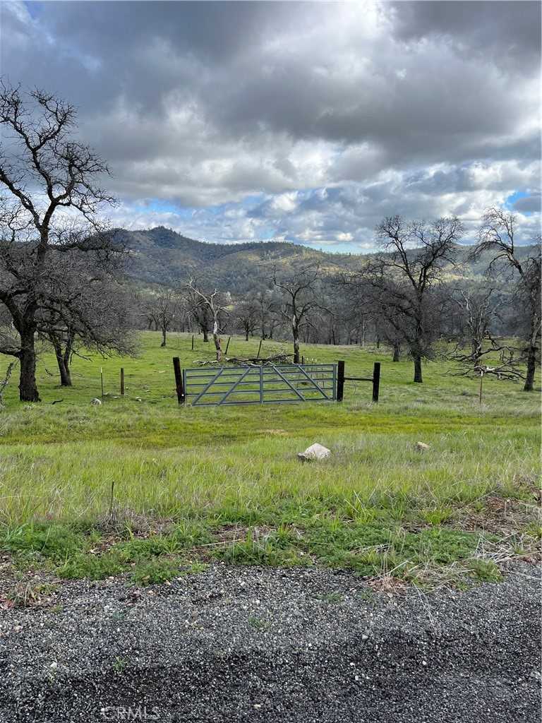 photo 3: 3359 Old Highway, Catheys Valley CA 95306