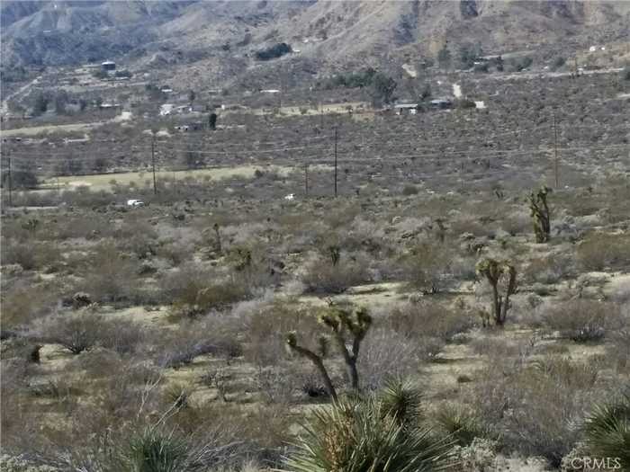 photo 2: Twentynine Palms, Morongo Valley CA 92256