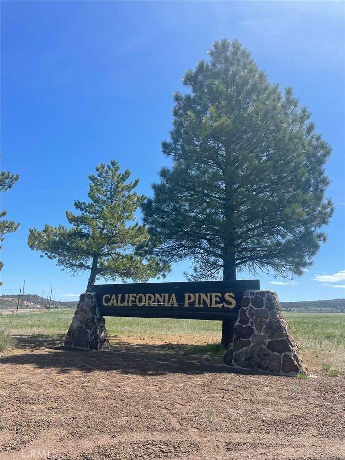 photo 1: Yellow Pine Drive, Alturas CA 96101