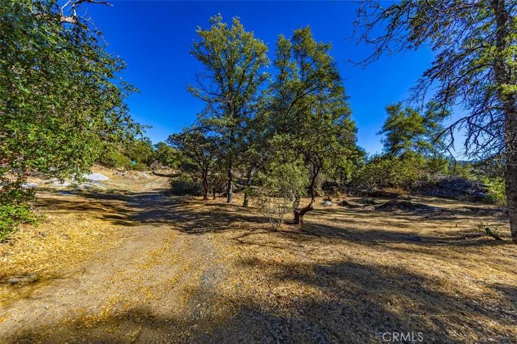 photo 1: 4200 Silver Lane Road, Mariposa CA 95338