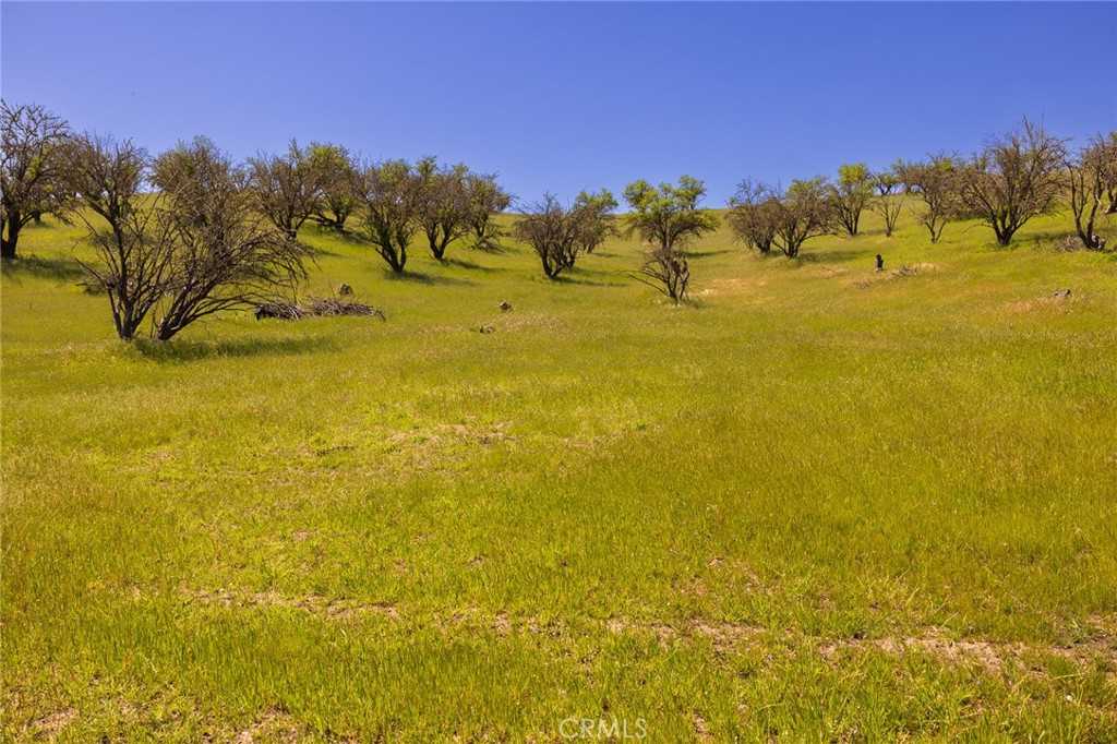 photo 2: 1 Geneseo Road, Paso Robles CA 93446