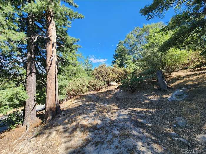 photo 2: 203 Canyon View Drive, Crestline CA 92325